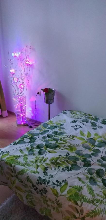 סאני ביץ' Aphrodite Rose מראה חיצוני תמונה