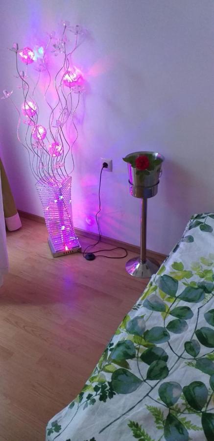 סאני ביץ' Aphrodite Rose מראה חיצוני תמונה